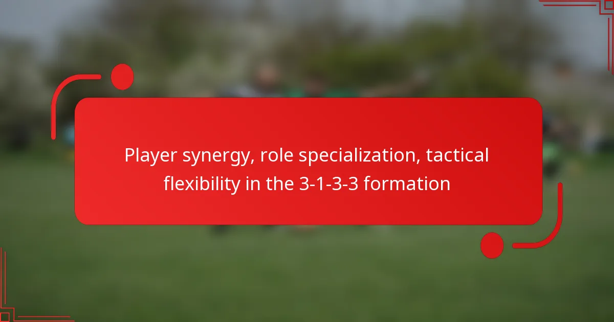 Player synergy, role specialization, tactical flexibility in the 3-1-3-3 formation