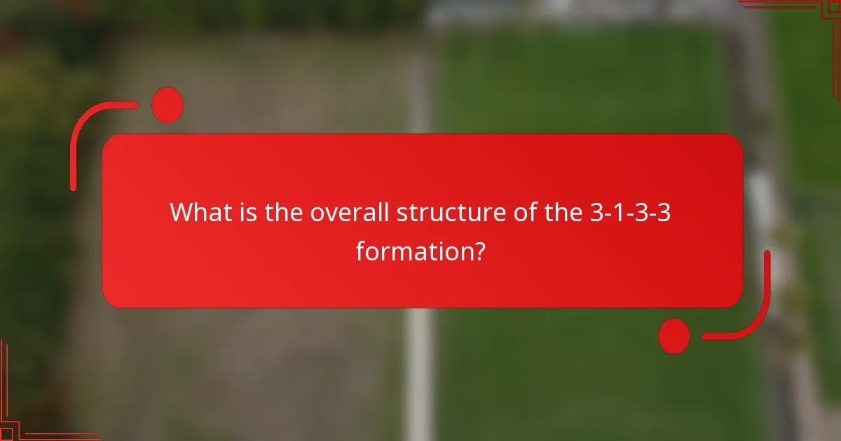 What is the overall structure of the 3-1-3-3 formation?